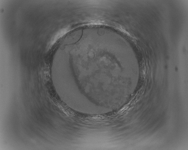 X0000069391255200605121202