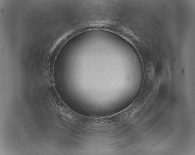 X0000069391256200605121202