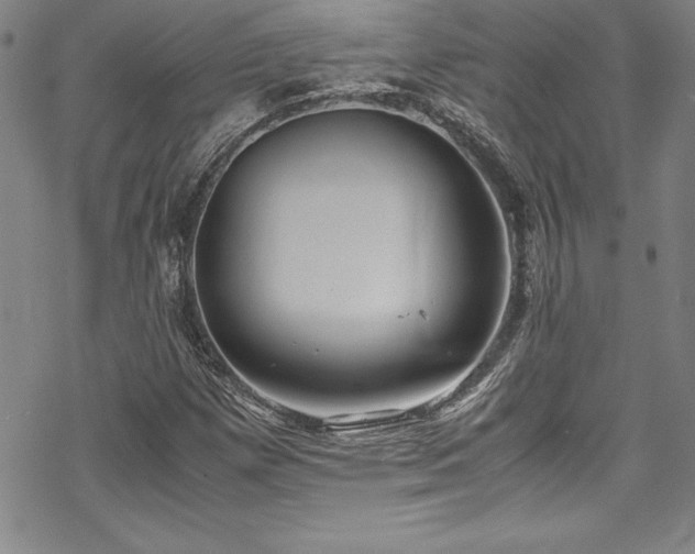 X0000069391257200605121202