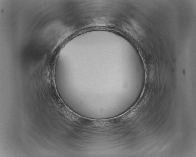 X0000069391258200605121202