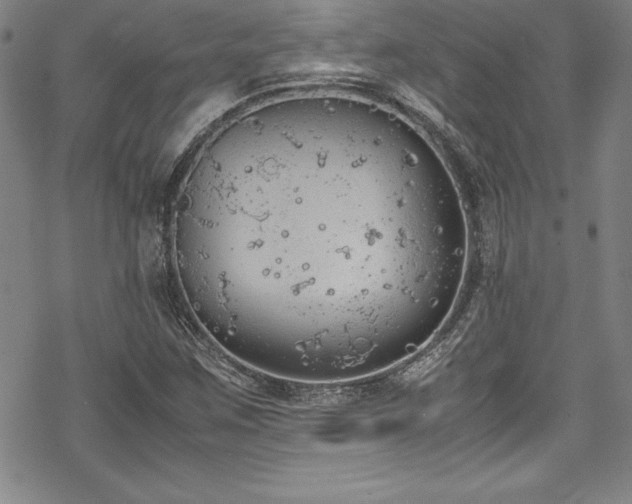 X0000069391259200605121202