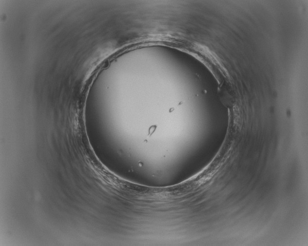 X0000069391260200605121202