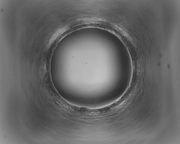 X0000069391261200605121202