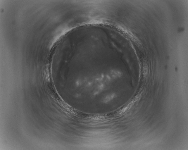 X0000069391262200605121202