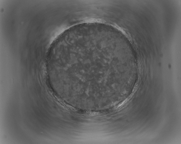 X0000069391263200605121202