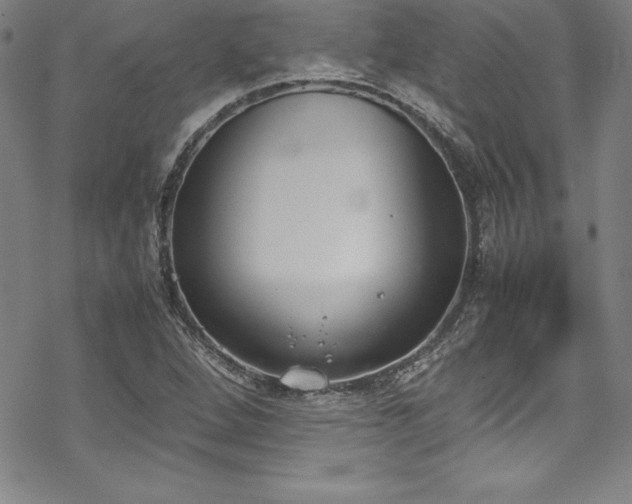 X0000069391264200605121202