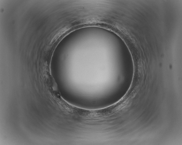 X0000069391265200605121202