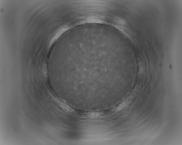 X0000069391266200605121202