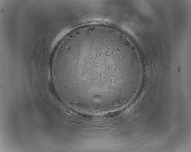 X0000069391267200605121202