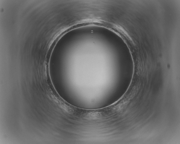 X0000069391268200605121202