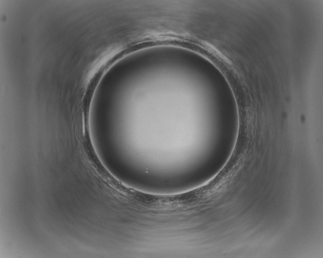 X0000069391269200605121202