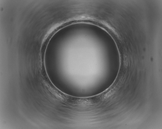 X0000069391270200605121202