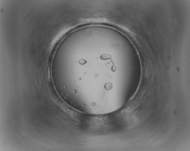 X0000069391271200605121202