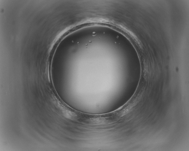 X0000069391272200605121202