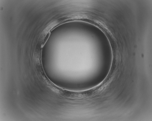 X0000069391273200605121202