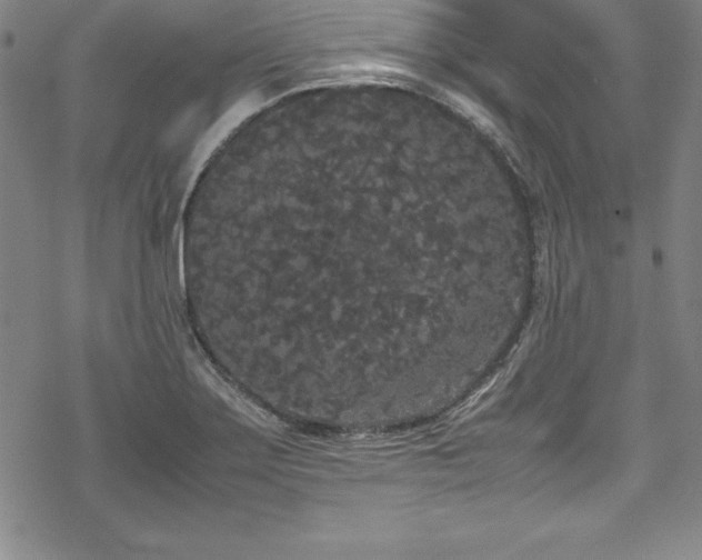 X0000069391275200605121202