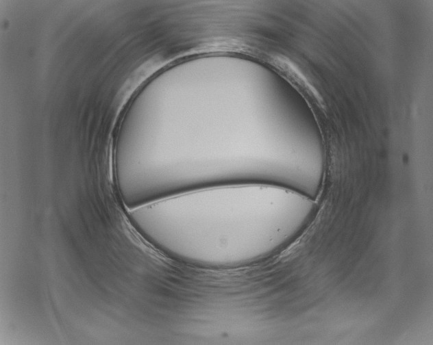 X0000069391276200605121202