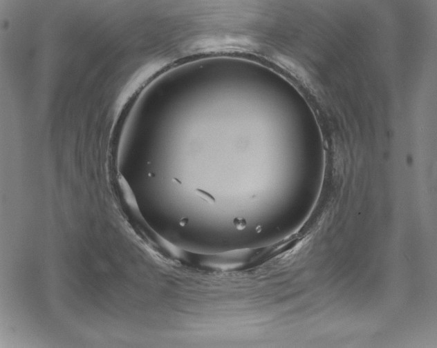 X0000069391277200605121202