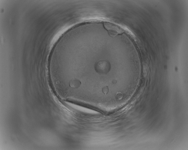 X0000069391279200605121202