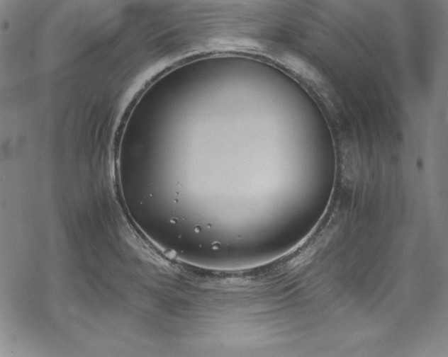 X0000069391280200605121202