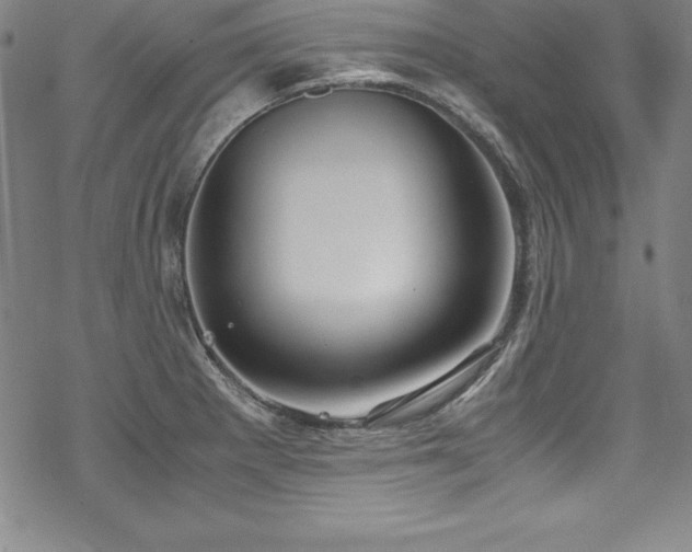 X0000069391281200605121202