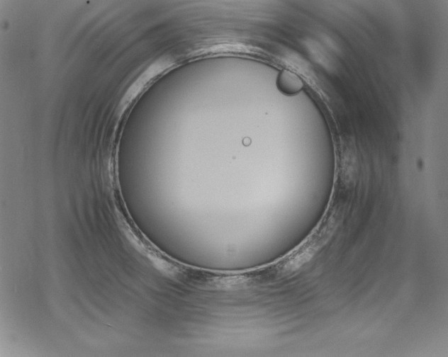 X0000069391282200605121202