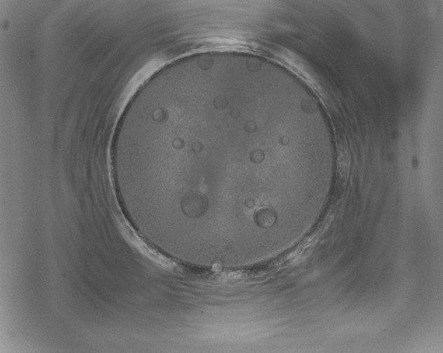 X0000069391283200605121202