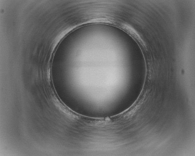 X0000069391284200605121202