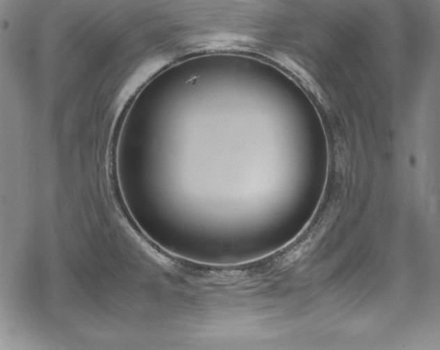 X0000069391285200605121202