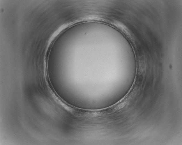 X0000069391286200605121202