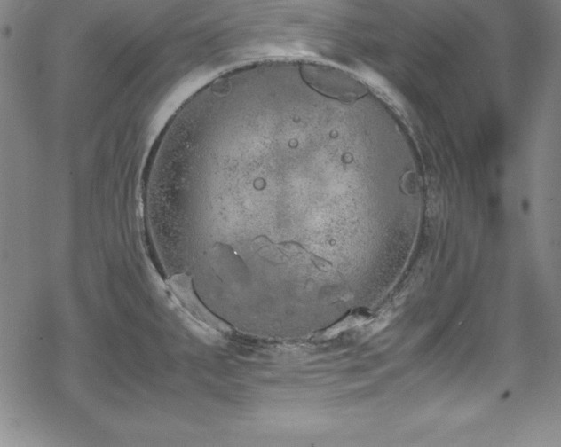 X0000069391287200605121202