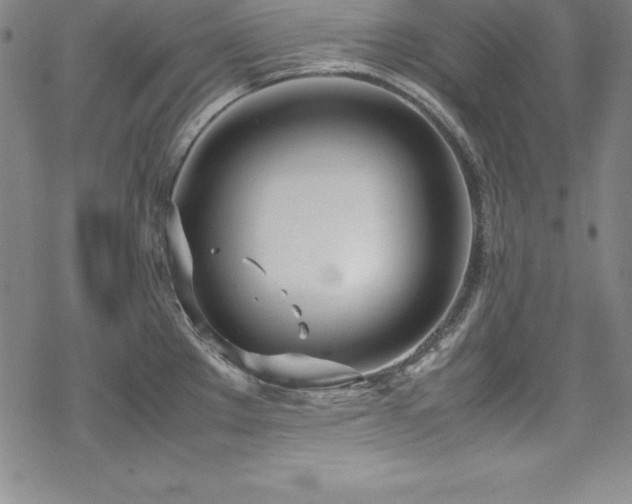 X0000069391289200605121202