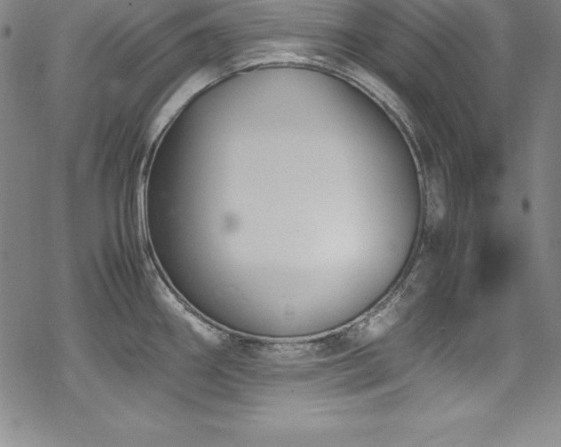 X0000069391290200605121201