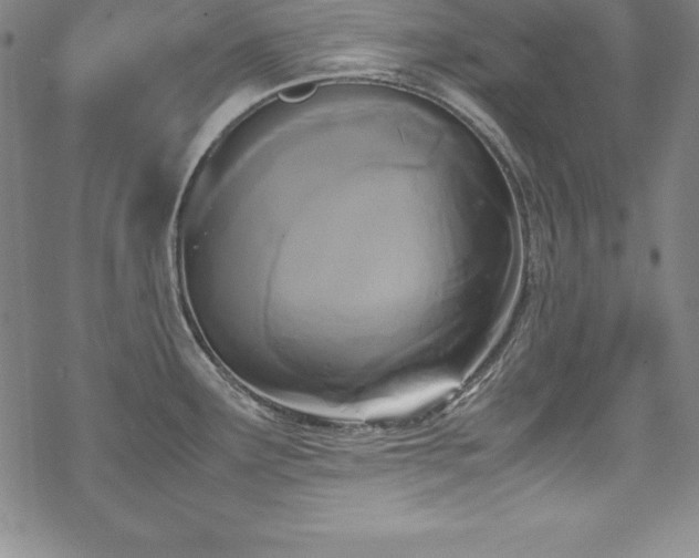 X0000069391291200605121201