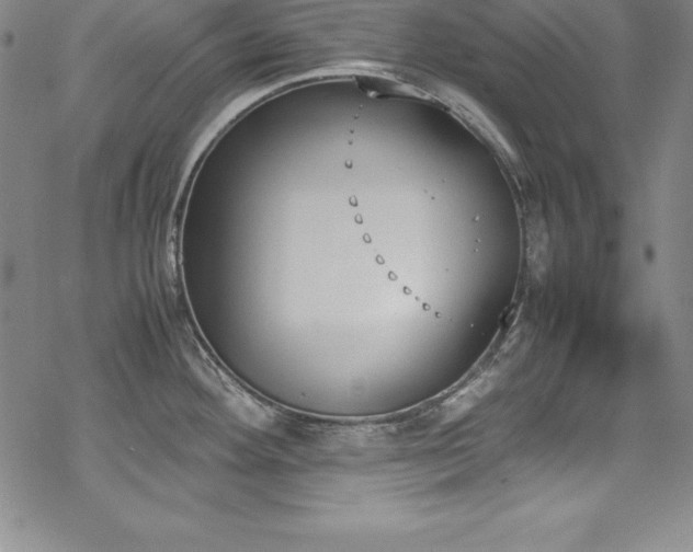 X0000069391292200605121201