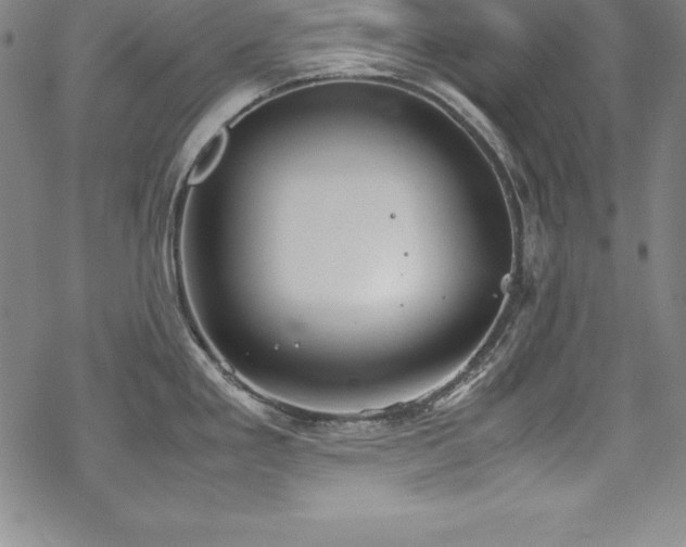 X0000069391293200605121201