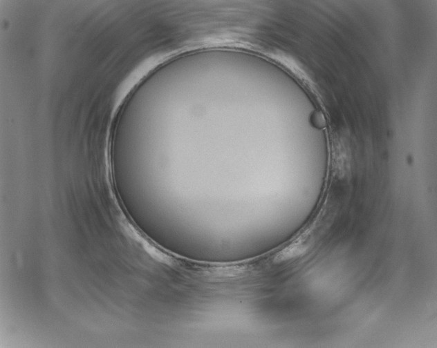 X0000069391294200605121201