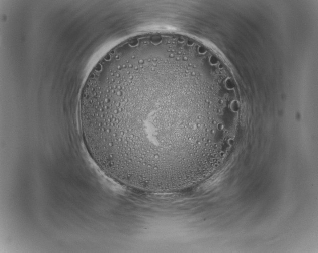 X0000069391295200605121201