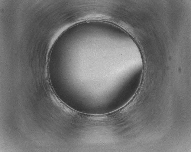 X0000069391296200605121201