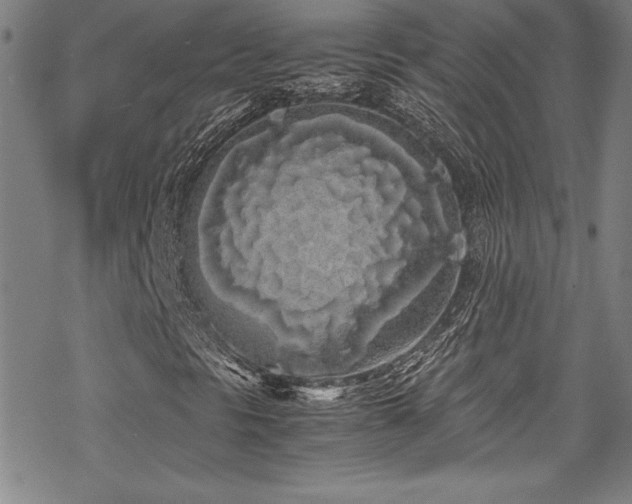 X0000069391297200605121201