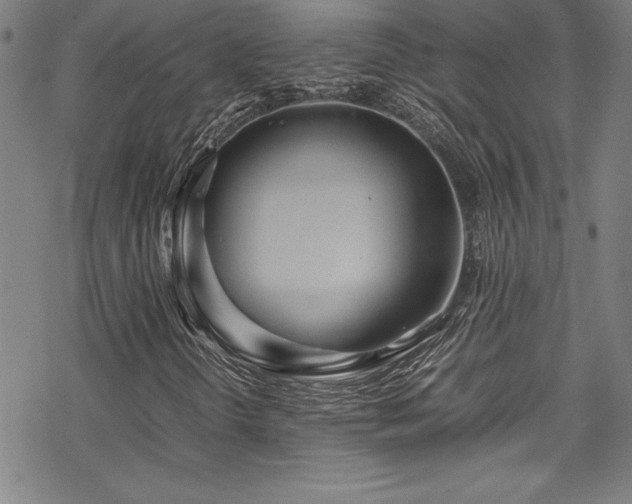 X0000069391298200605121201