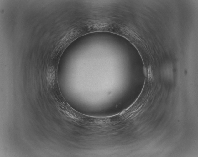 X0000069391299200605121201