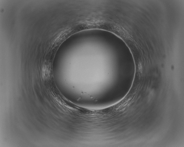 X0000069391300200605121201