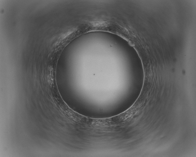 X0000069391301200605121201