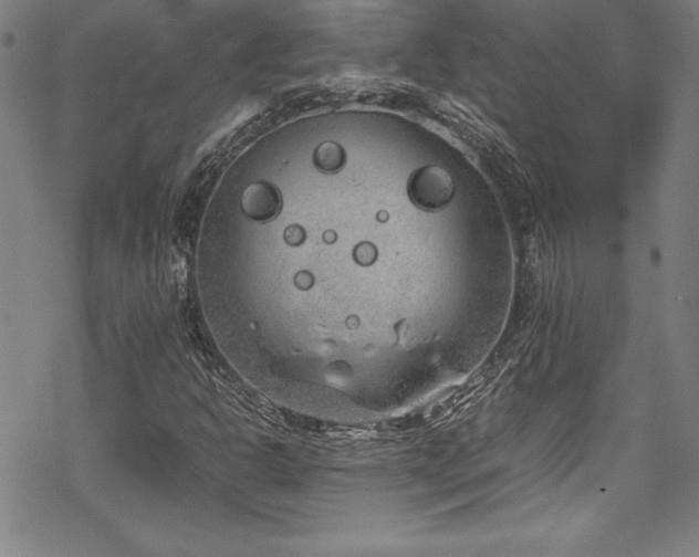 X0000069391302200605121201