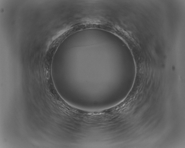 X0000069391303200605121201