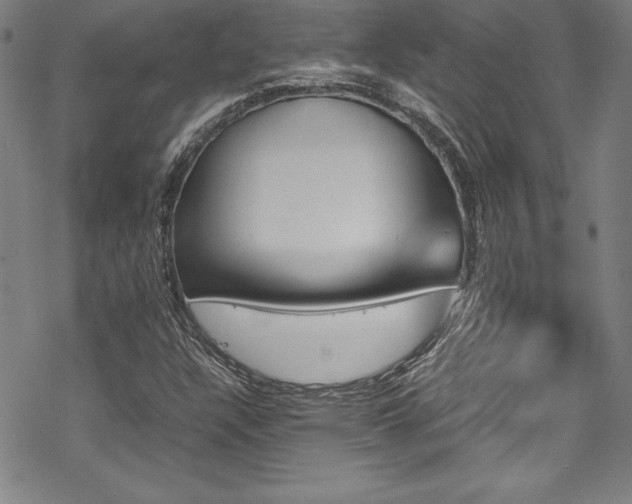 X0000069391304200605121201