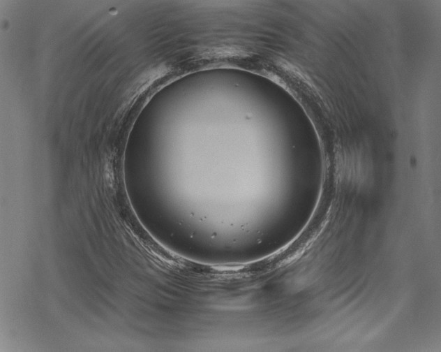 X0000069391305200605121201