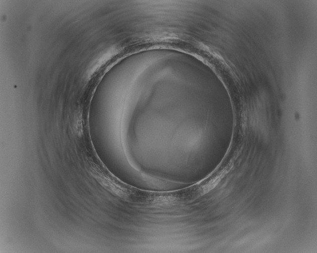 X0000069391306200605121201