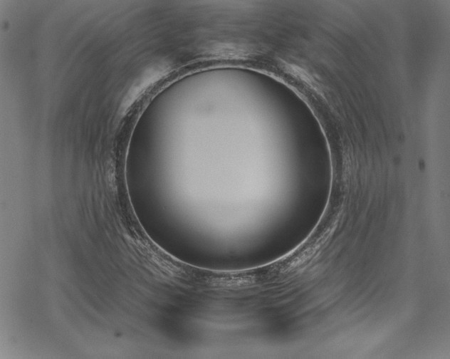 X0000069391307200605121201